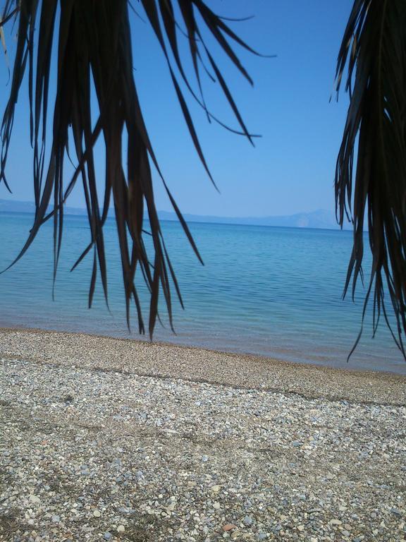 Evoikos Beach & Resort Livanatai Ngoại thất bức ảnh