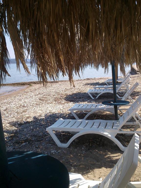 Evoikos Beach & Resort Livanatai Ngoại thất bức ảnh